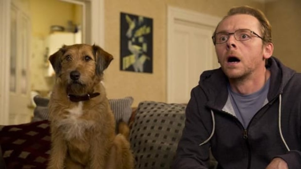 Absolutely anything
